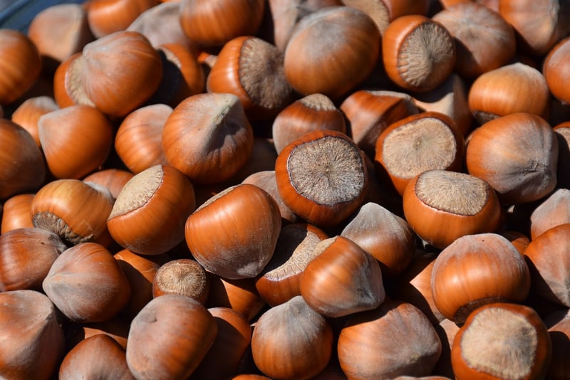 Seed Swap Gathering